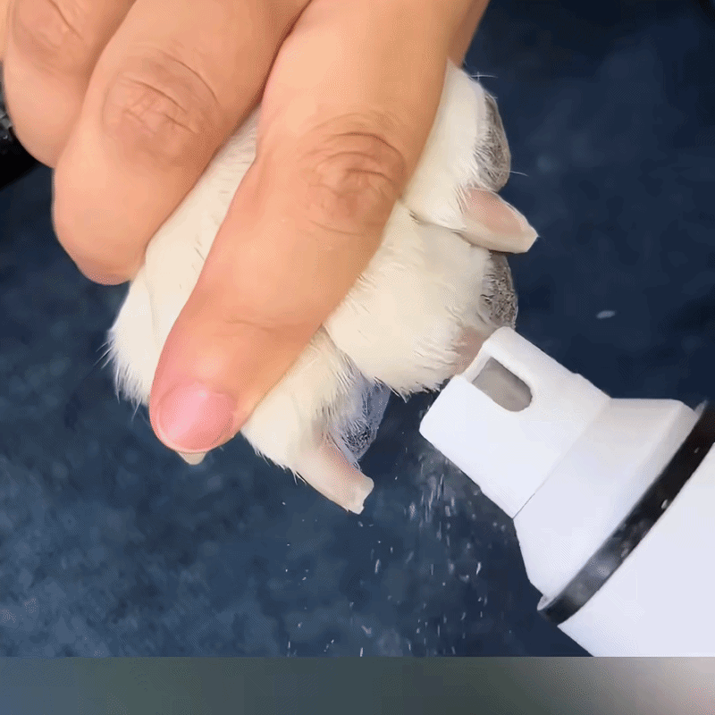 Pet nail grinder