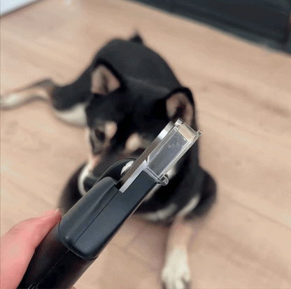 Pet Nail Clipper – Safe & Stress-Free Trimming